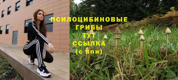 меф Армянск