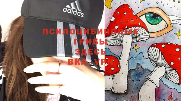 гидра Арсеньев