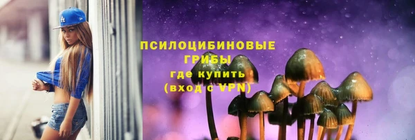 гидра Арсеньев