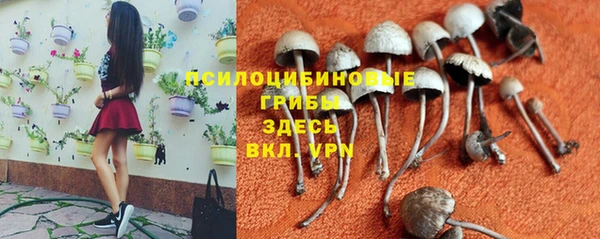 амфетамин Аркадак