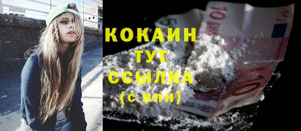 гидра Арсеньев