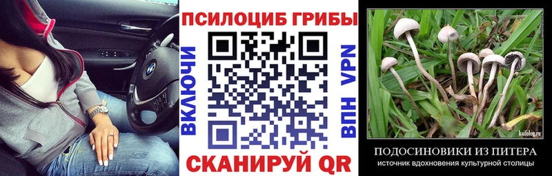 Галлюциногенные грибы Cubensis  МЕГА вход  Всеволожск 